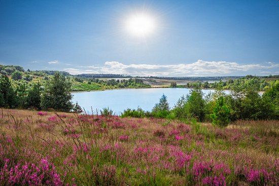 Parc national de la Haute Campine