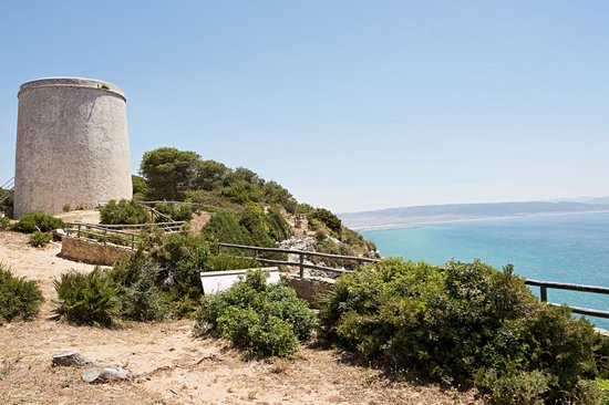 Barbate