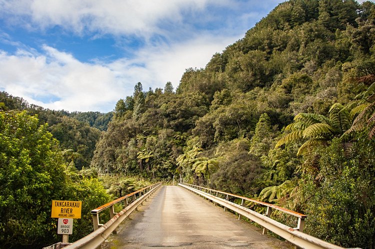 Forgotten World Highway