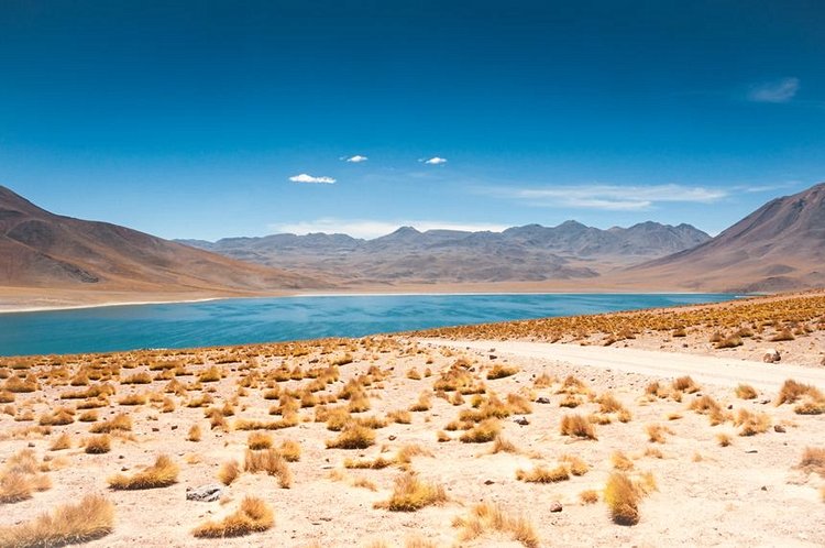 L’Altiplano chilien