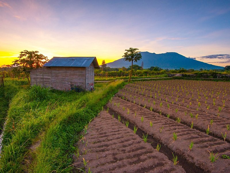 Mont Merapi