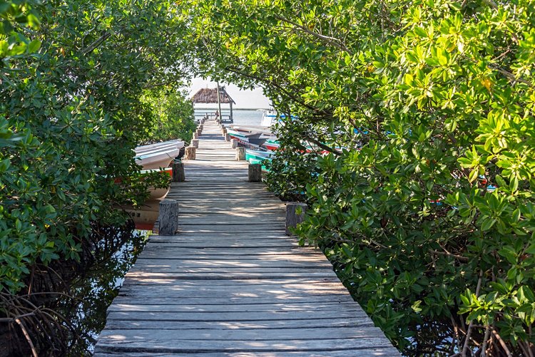 Punta Allen et la réserve de Sian Ka’an 3