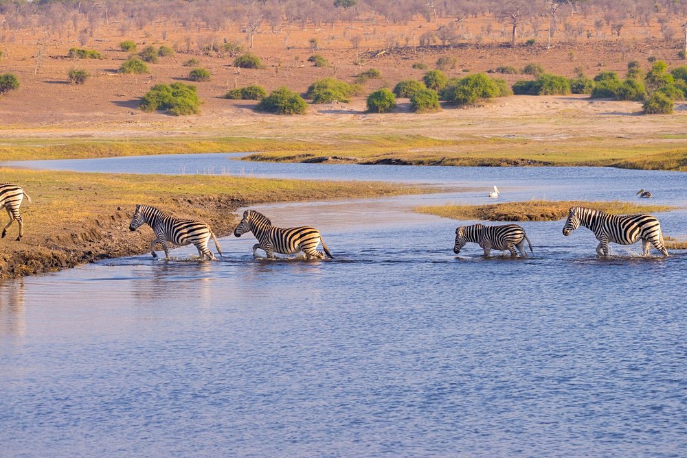 Tanzanie au mois de  novembre