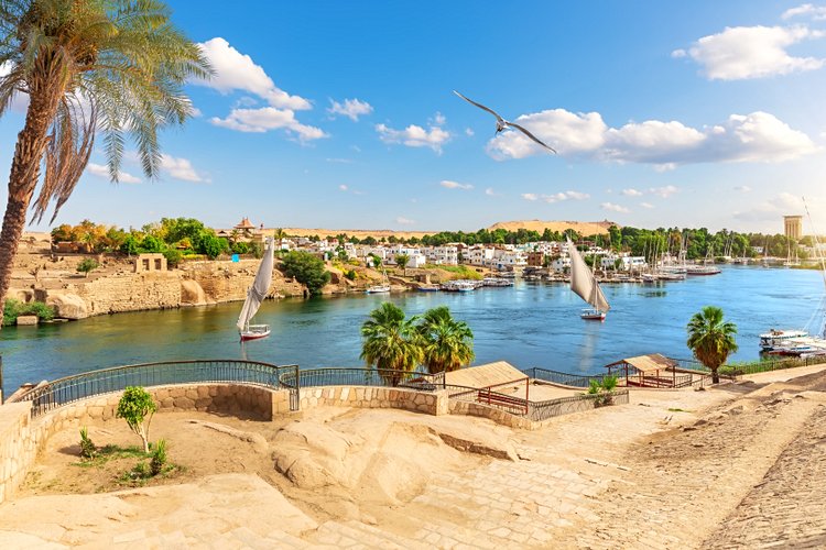 N°14 Égypte 4