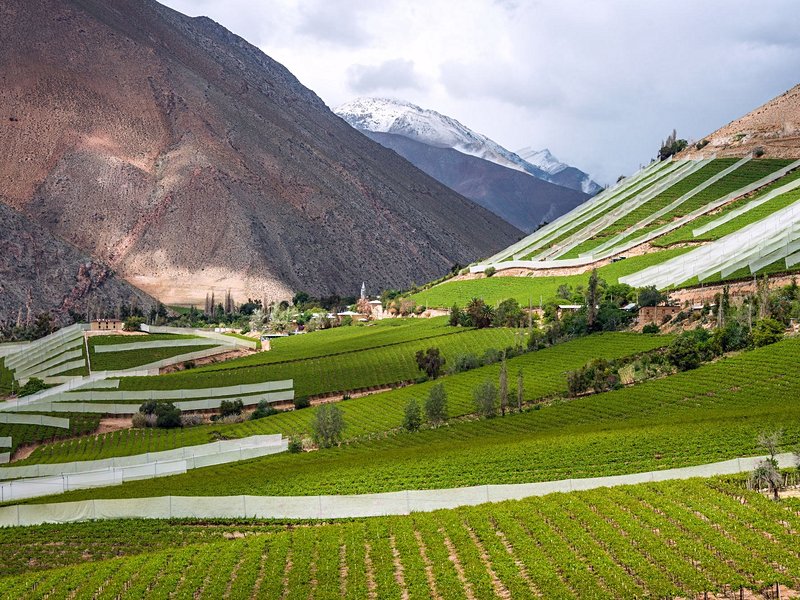 Valle del Elqui