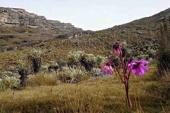 Parc national de la Sierra Nevada del Cocuy