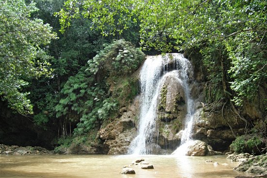 Cascada Limón