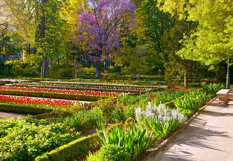 Le Jardin botanique royal 3