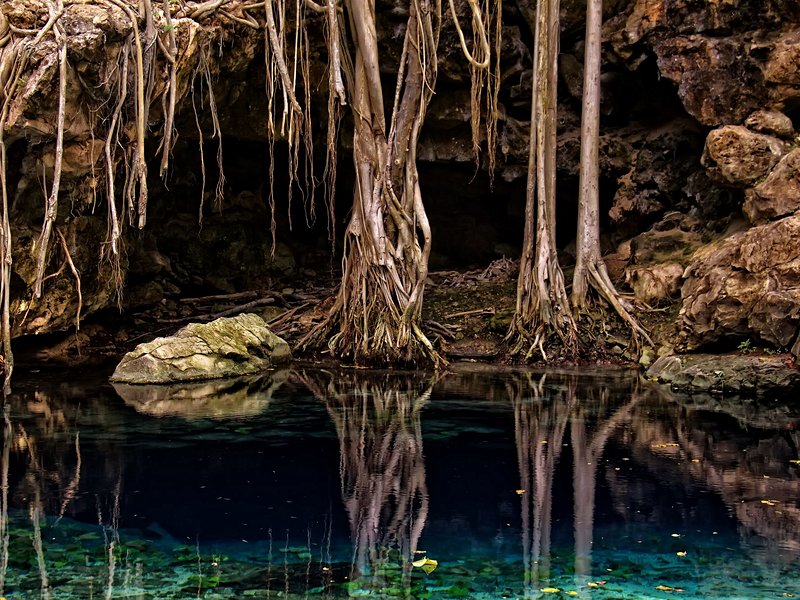 Cenotes X-batun & Dzombakal, San Antonio de Mulix