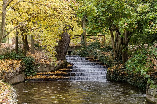 Parc de l'Ouest