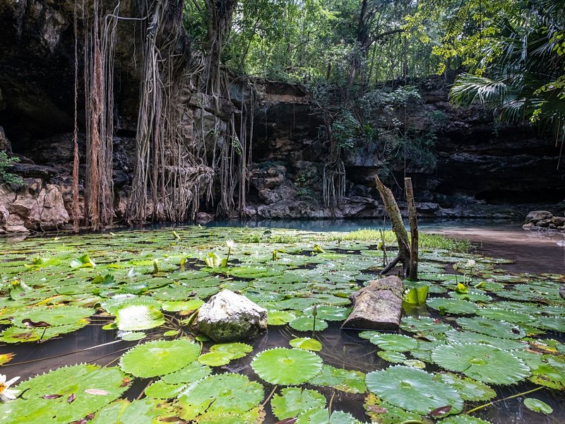 Cenotes X-batun & Dzombakal, San Antonio de Mulix