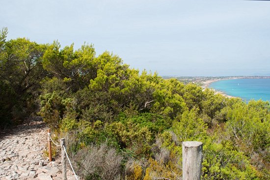 Chemin de Sa Pujada
