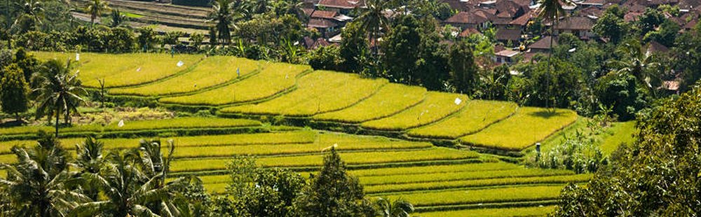 Munduk