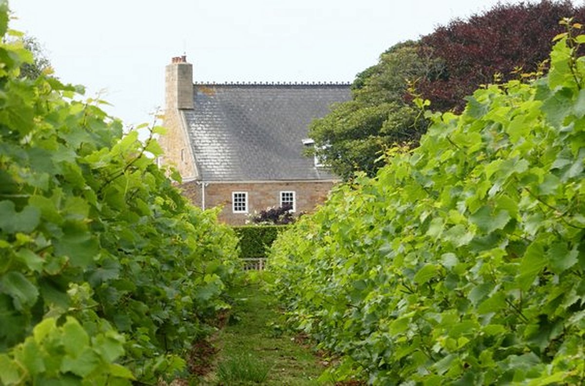 S’enivrer à la Mare Wine Estate