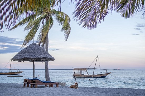 Les plages de Mafia Island