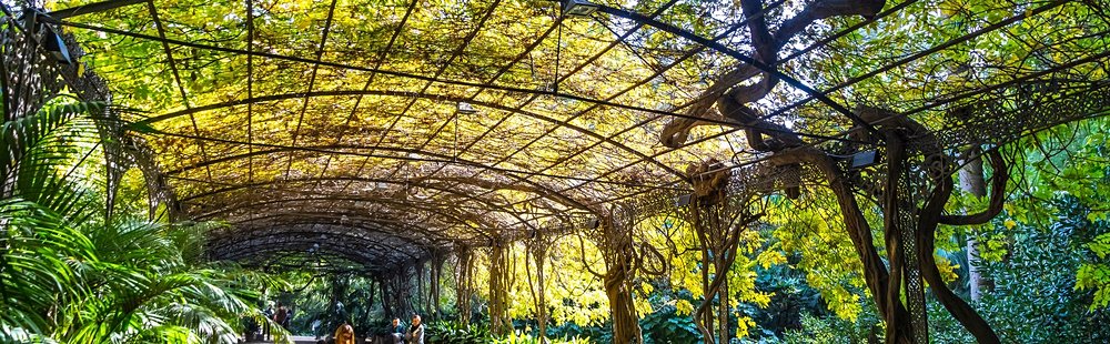 Jardin botanique historique La Concepción