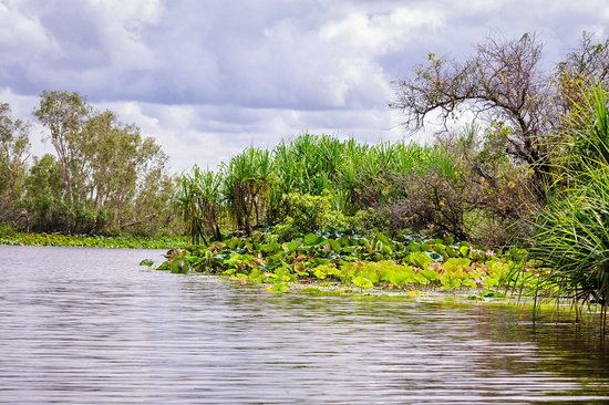 Parc national de Mary River