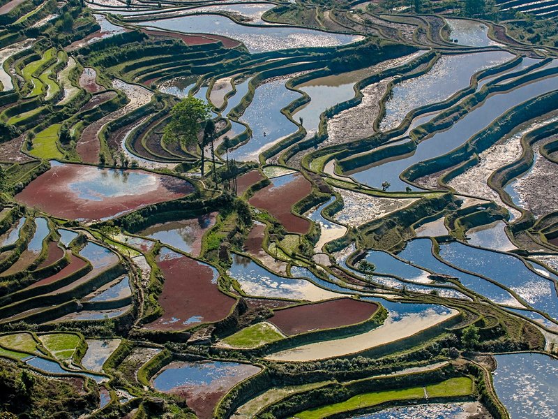 Rizières de Yuanyang