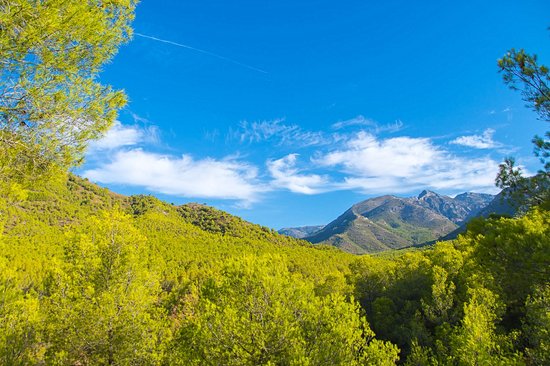Parc naturel des Sierras de Tejeda, Almijara et Alhama