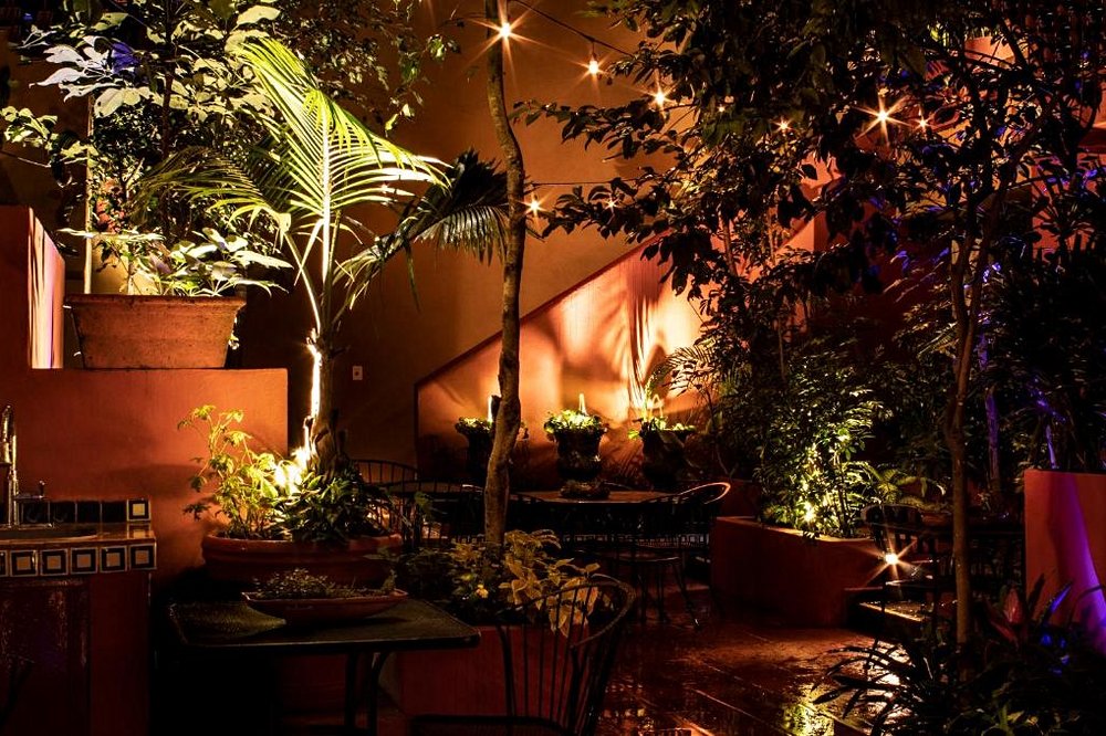 The Red Tree House