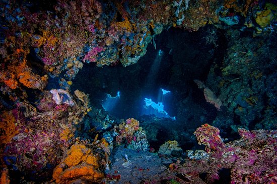 Parc de Pulau Menjangan