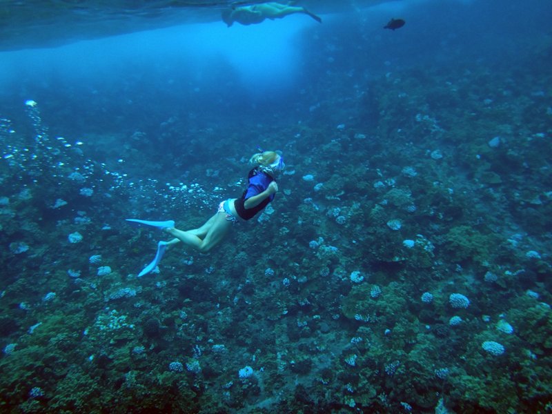Le Molokini Crater