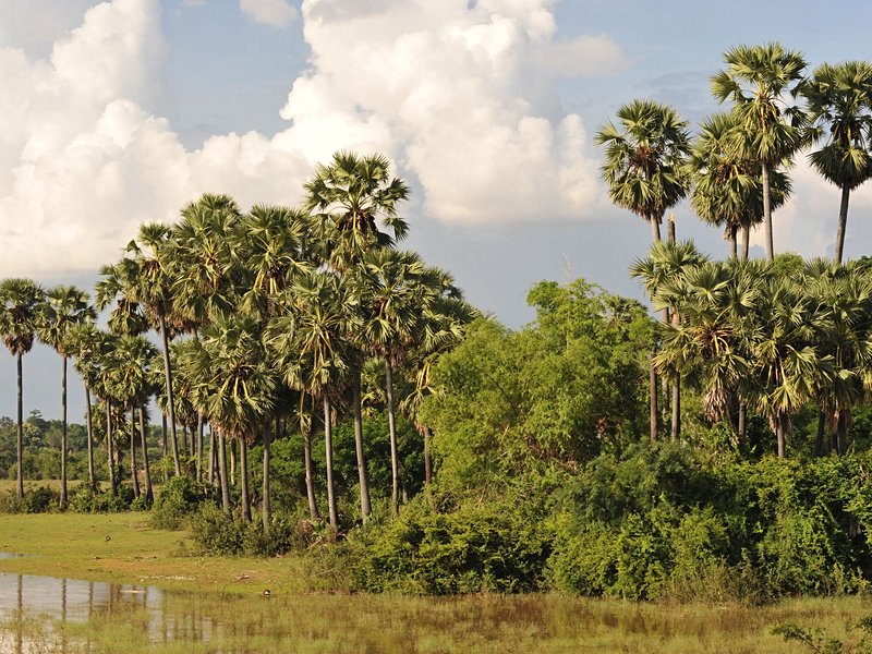 Kampong Thom