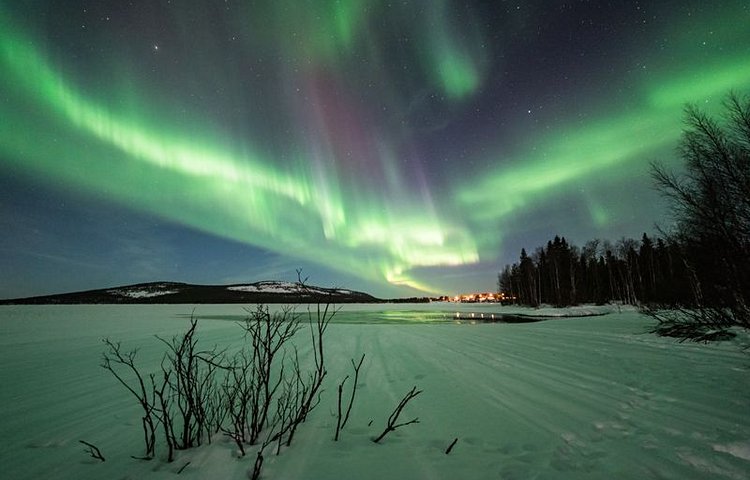 Aurores boréales au parc national de Pyhä-Luosto