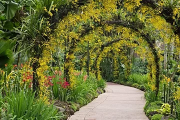 Jardin botanique de Singapour