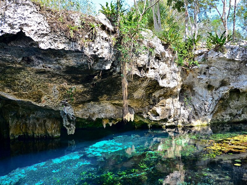 Découvrir les cenotes