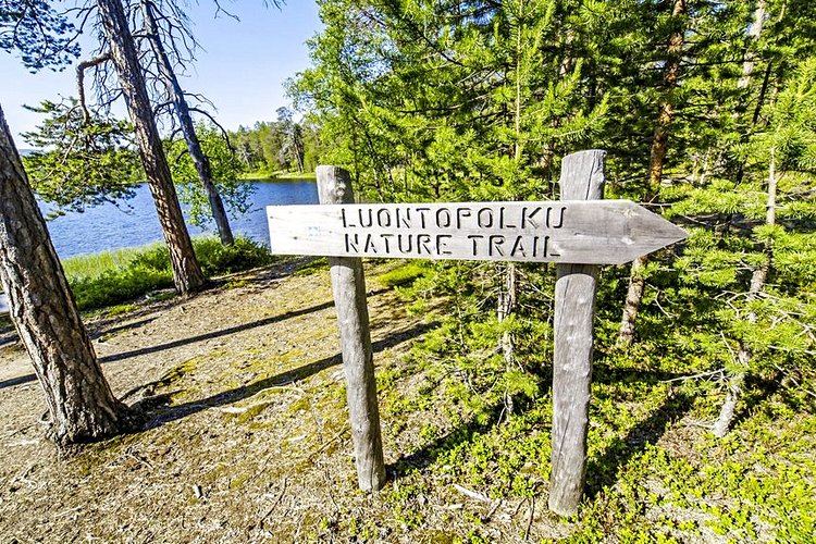Le parc national de Lemmenjoki dans le nord de la Laponie