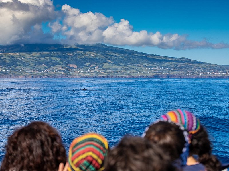 L'île de Faial