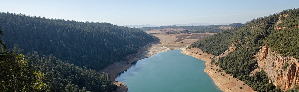 Parc national d'Ifrane