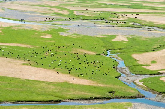 Vallée de l'Orkhon