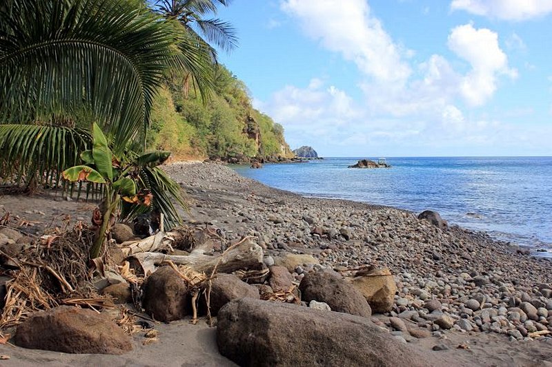 plage Champagne reef