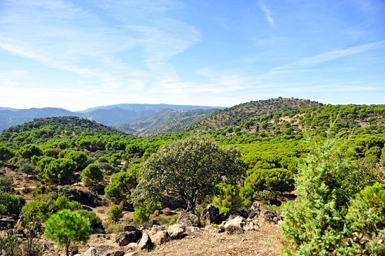 Parc naturel de la Sierra d'Andújar