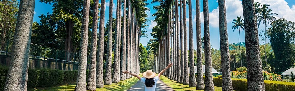 Jardin botanique de Peradeniya