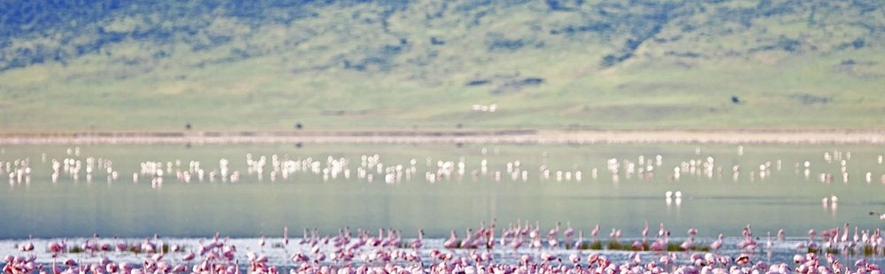 Le cratère du Ngorongoro