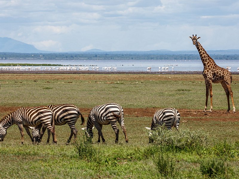 Lac Manyara