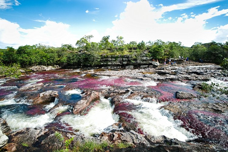 Caño Cristales