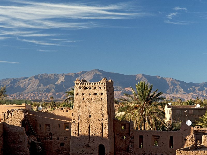 La palmeraie de Skoura