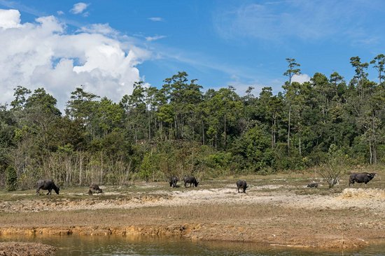 Phou Khao Khouay