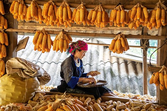 Mu Cang Chai
