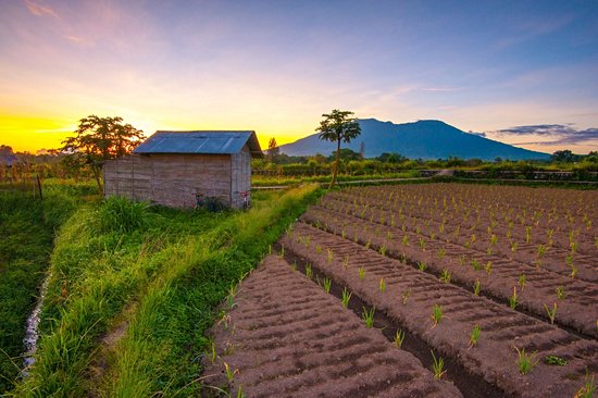 Mont Merapi