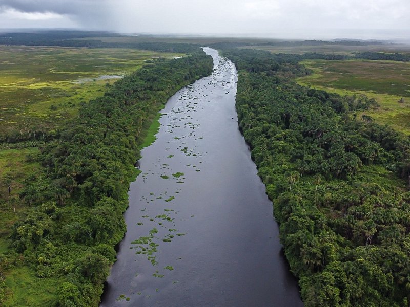 Delta de l'Orénoque