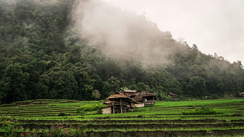 Thaïlande au mois de  juillet