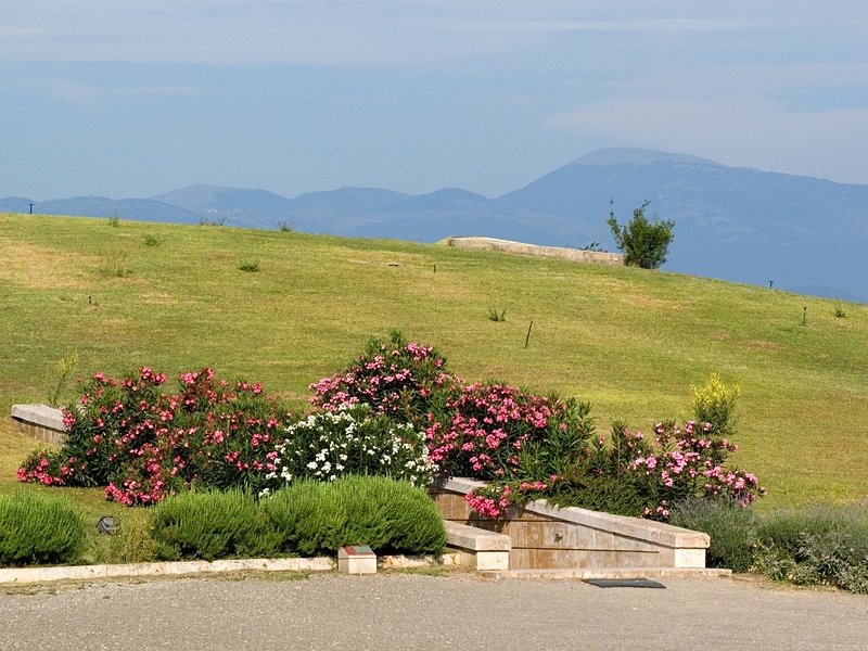 Vergina
