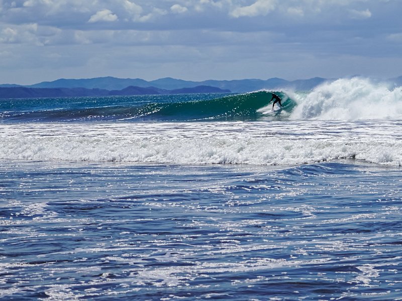 Sauvage et repliée : Playa Naranjo