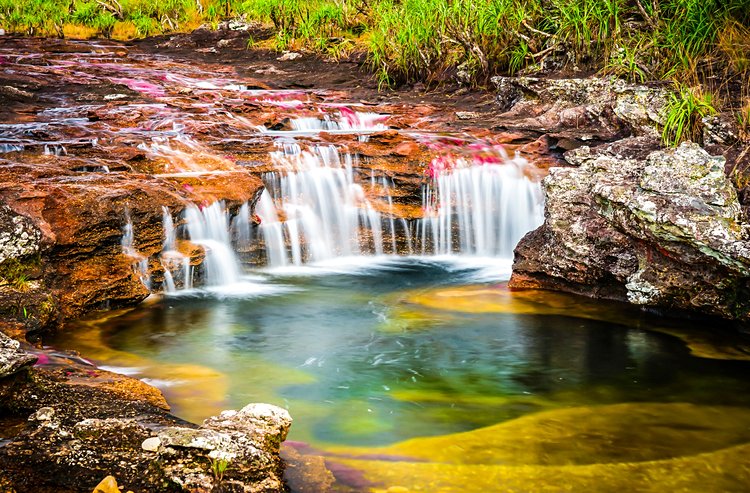 COLOMBIE<br />Rivière Caño Cristales 3