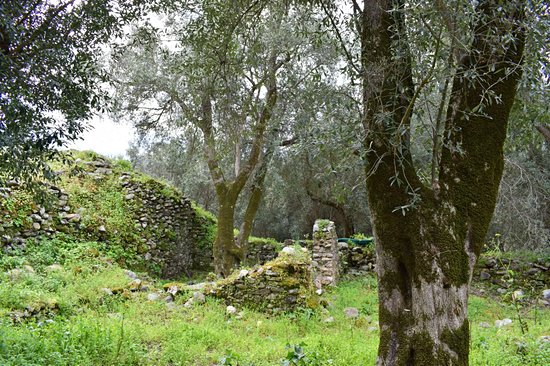 Parc national d'Aspromonte